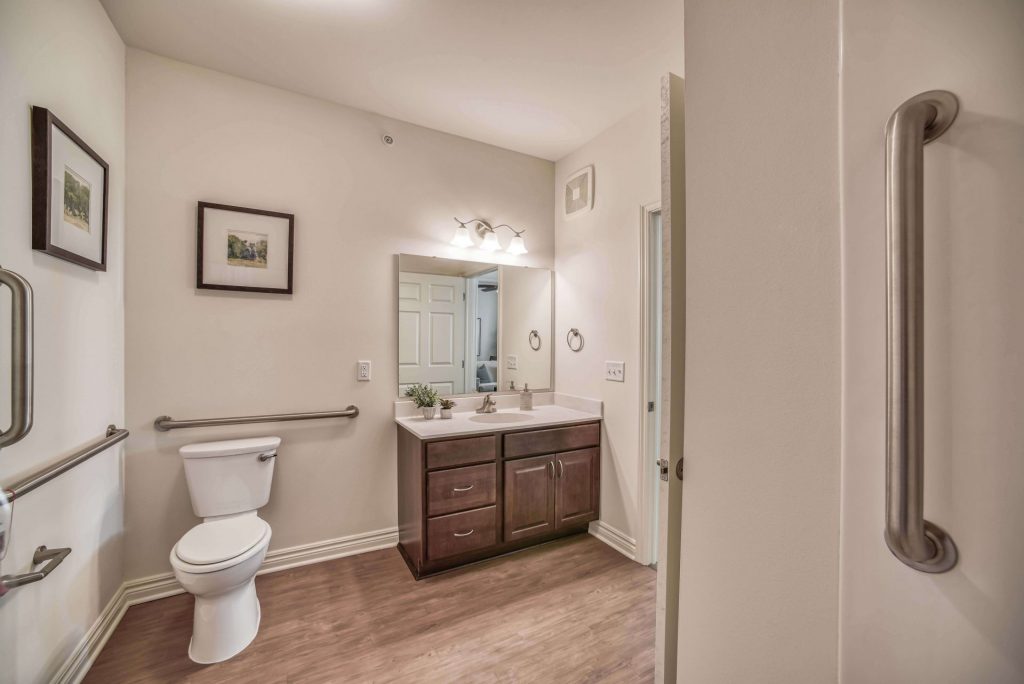 Accessible bathroom with toilet, grab bars, vanity with mirror, and framed artwork on walls.